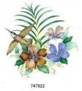 JM　Tropicana　　100/130