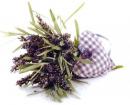 Lavender With Heart