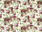  Rosalind  S2456
