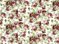  Rosalind  S2456