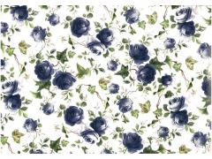 Blue-Ivy-Rose　　S2737