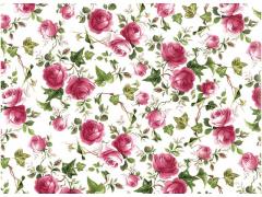 Ivy　Rose　Clear　　S2737
