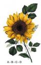 SunFlowers　#4664