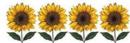 SunFlowers　　#4664