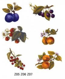 Fruits　　A53975