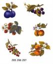 Fruits　　A53975