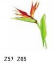Bird Of Paradise　 Strelizia  A57278