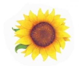 Sunflower　　70390A