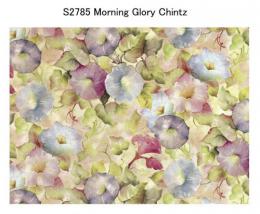 Morning Glory　　S2785