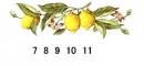 Lemon　7・8・9・10・11　　70265A
