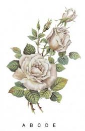 Anniversary　Silver　 Rose　　S2749
