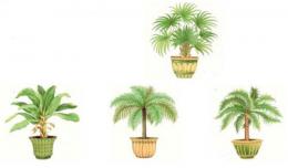 Palm Tree　4種　セット　70296A