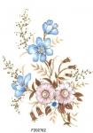Glass Decal Carolina