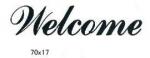 Welcome　　ストレート　S　黒　2本