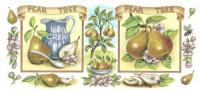 Apple,Pear,Cherry　Mug　　3セット