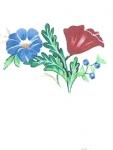 JM　POPPYFIELD    ガラス用　　12358