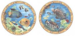 Tropical Fishes　ラウンドタイプ  70184