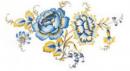 Blue Floral 　With　Gold　Trim  AG57408