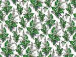 Lilly　of　the　valley   6333