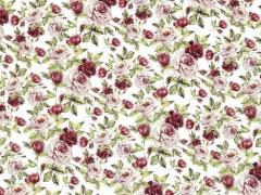 Rose Gaden　S3425