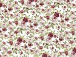 Rose Gaden　S3425