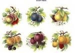 2S-soft fruits 6種セット