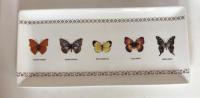 Butterflies  6P