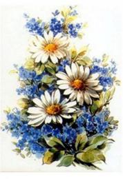 Daisy　数量限定　各サイズ