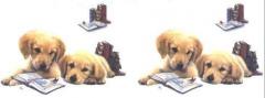 Puppy-Mug