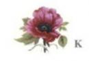 Poppy Maroon 小花5こ
