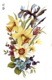 Spring　Spray　C/D