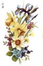 Spring　Spray　C/D