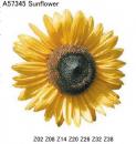 Sunflower　　A57345