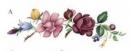 Cottage Garden リム・カーブ　4こ