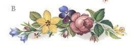 Cottage Garden リム・カーブ　Bタイプ　4こ