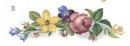 Cottage Garden リム・カーブ　Bタイプ　4こ