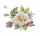 Cottage Garden　G　4こ