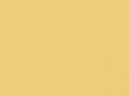 カラーシート　Butterrmilk yellow