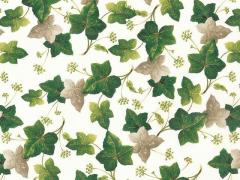   Ivy maple　S3449
