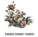 JM  Floral  Sentiment   Rose
