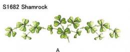 Shamrock 4こ
