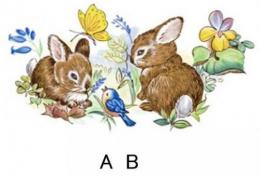 Bunnies