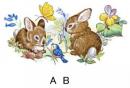 Bunnies