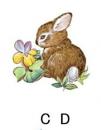 Bunnies