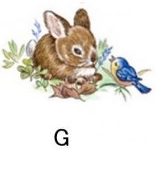 Bunnies