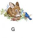 Bunnies