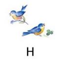 Bunnies  bird. S3564
