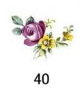 Printemps　　Spring　