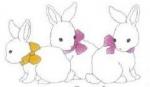 Rabbits  3匹   2コ