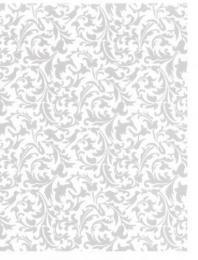 Arabesque　Mica Silver